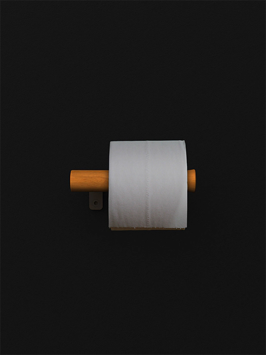 Toilet paper holder